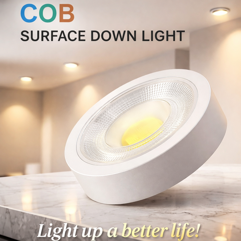 30 watts COB SURFACE DOWN LIGHT thumbnail 3